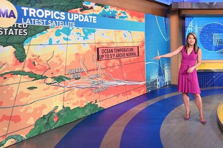 How ABC News chief meteorologist Ginger Zee explains climate ...