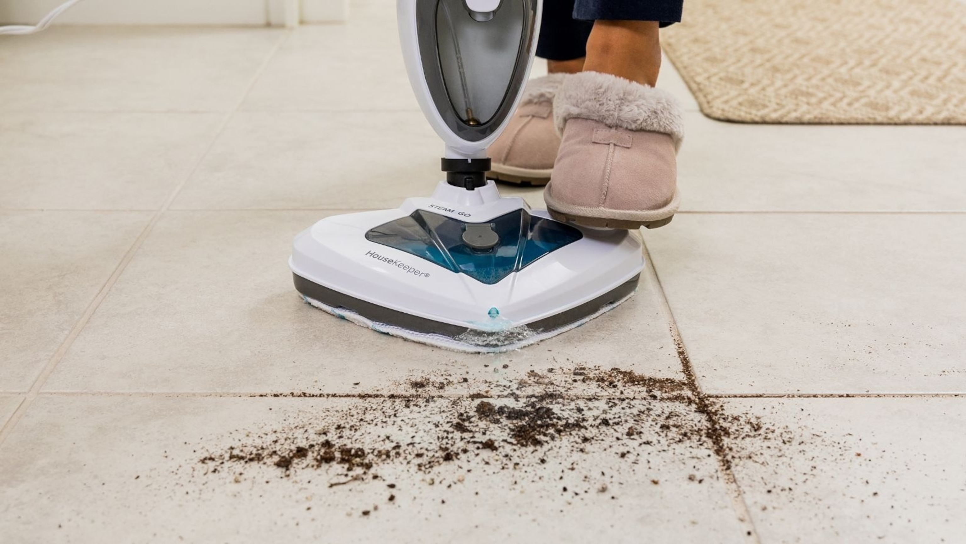Steam and Go: 10-in-1 All-purpose Steamer