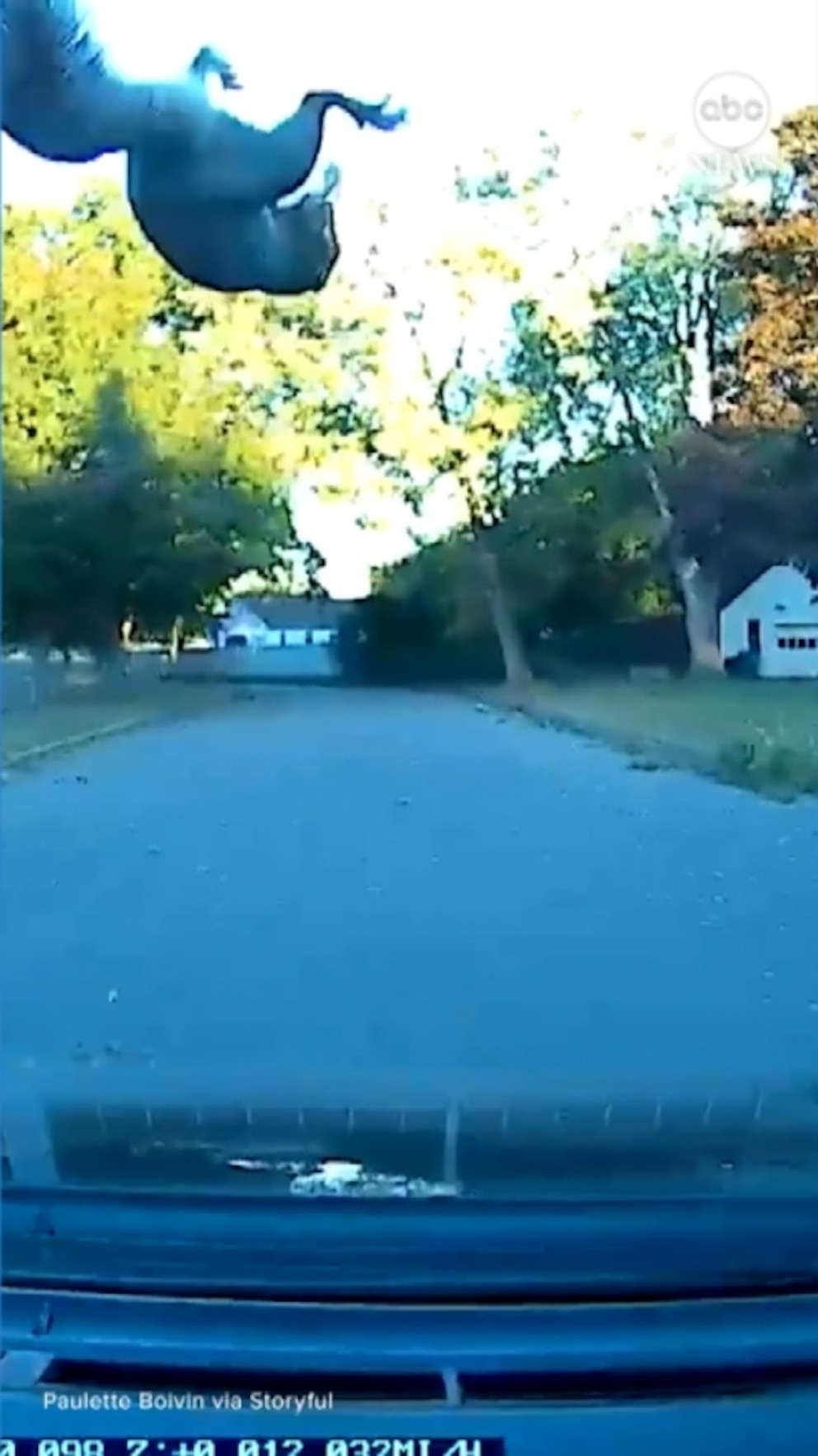NextImg:Video Squirrel falls from the sky onto car, and survives
