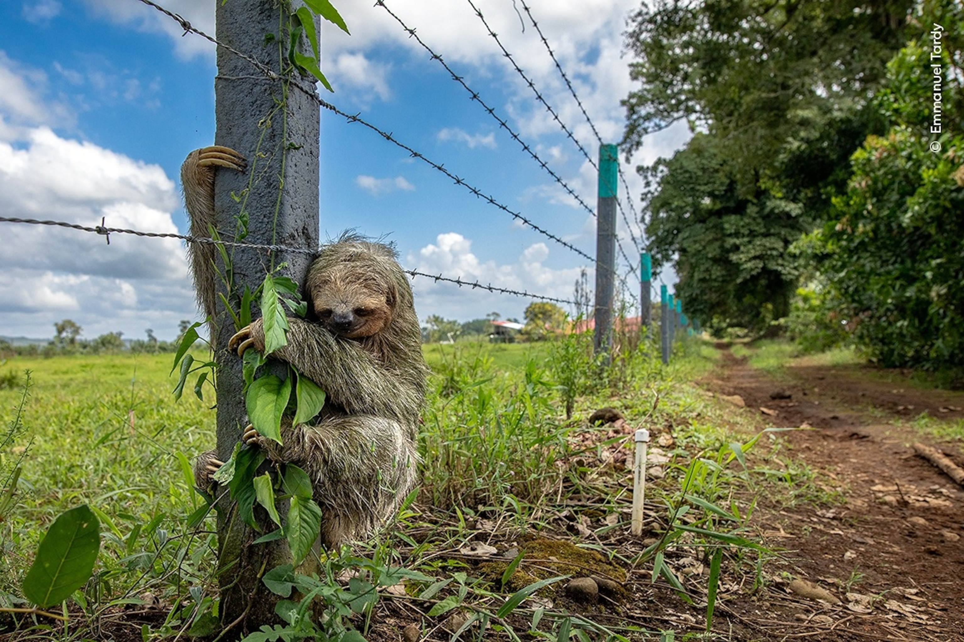 PHOTO: 2025 Wildlife Photographer of the Year