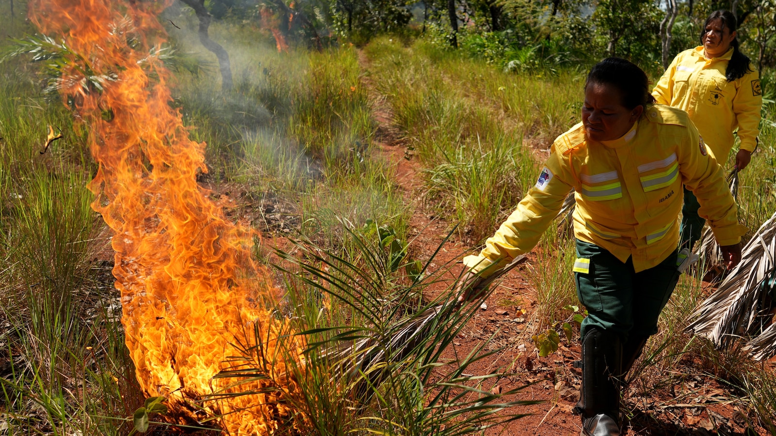 In Brazil’s Cerrado region, Indigenous fire practices reshape wildfire strategy
