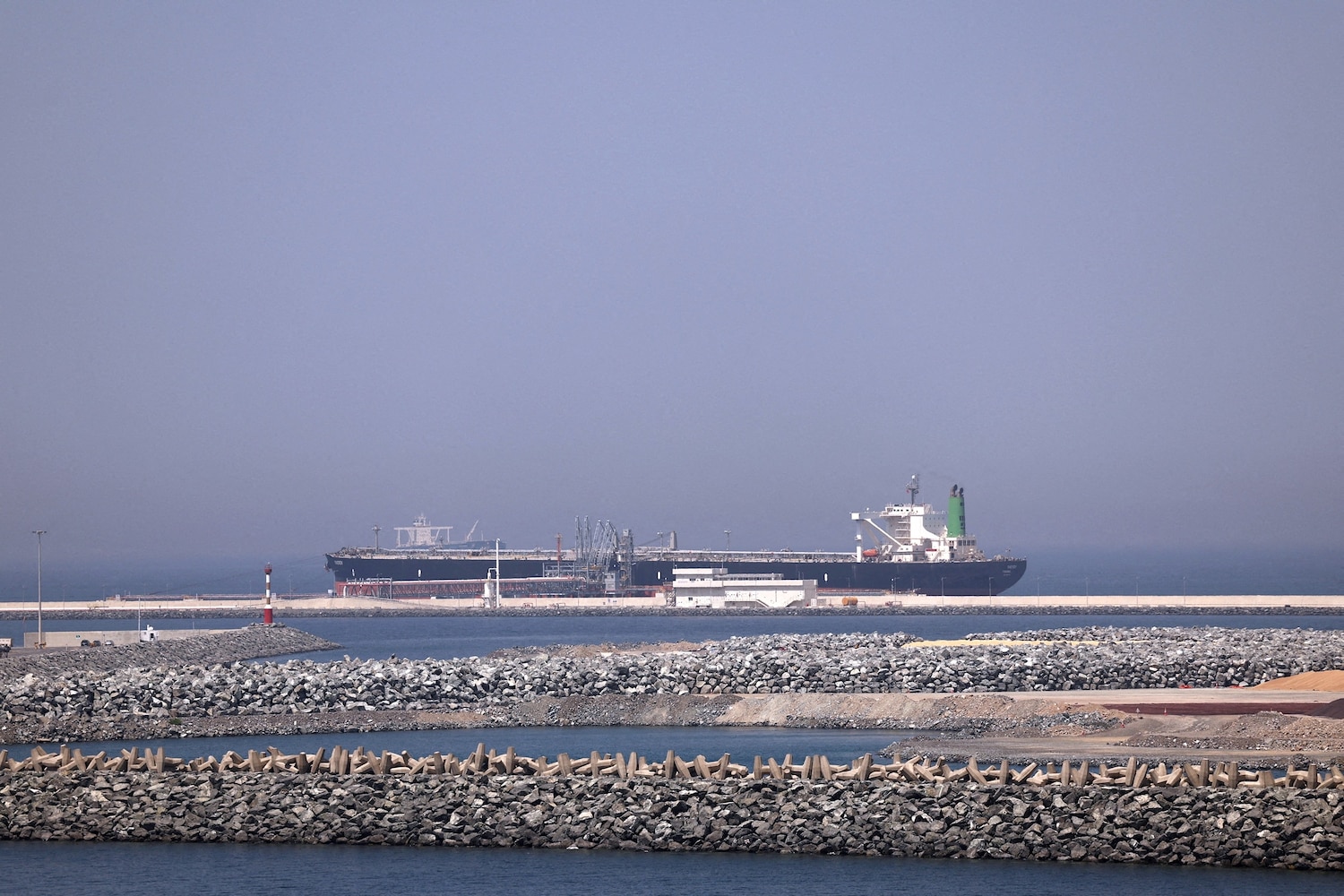 Scientists warn of possible invasive species superspreader event due to stalling near Strait of Hormuz