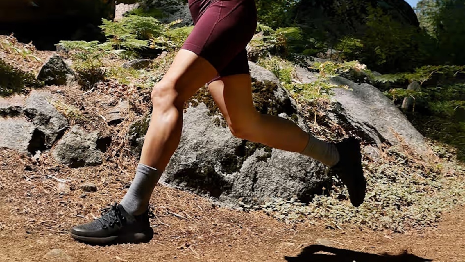 Allbirds