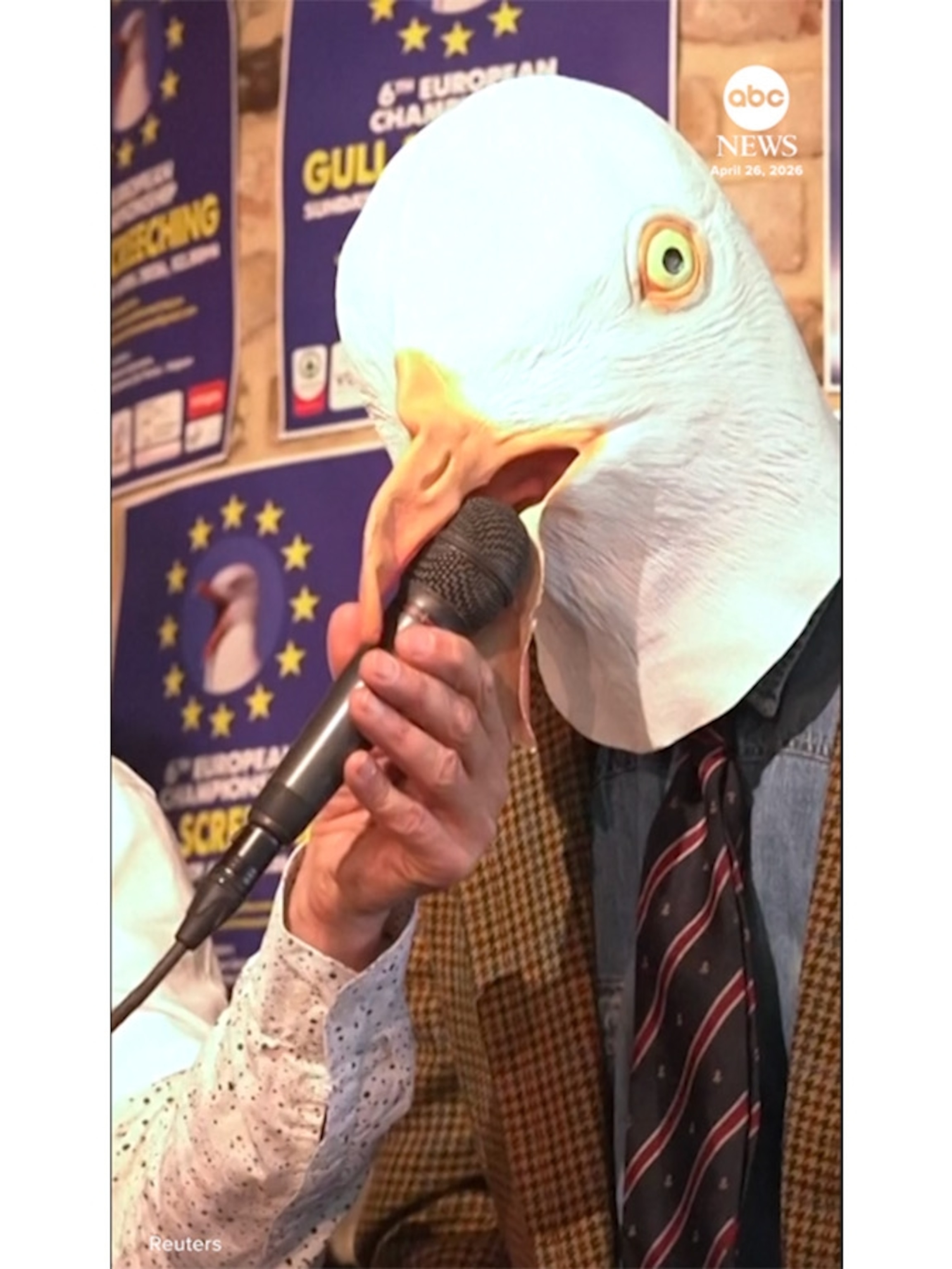 Video Squawk-off at annual seagull screeching championships - ABC News Video Squawk-off at annual seagull screeching championships - ABC News