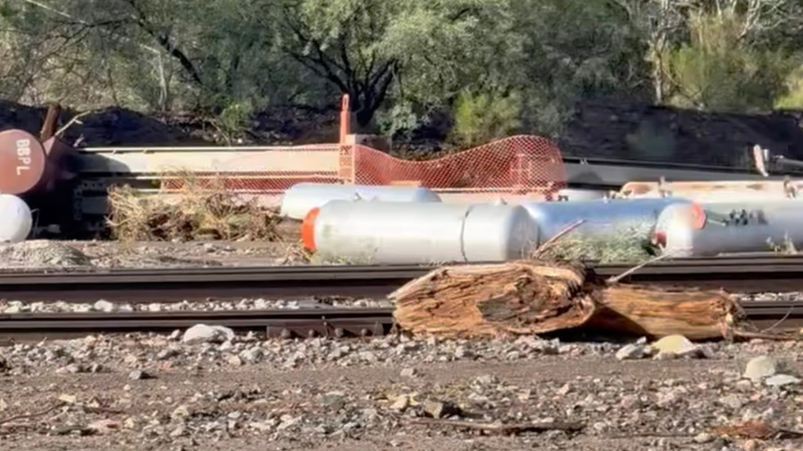 Arizona Flood Disaster: Death Toll Rises to 4, Hazmat Alert Issued in Globe Amid Ongoing Search