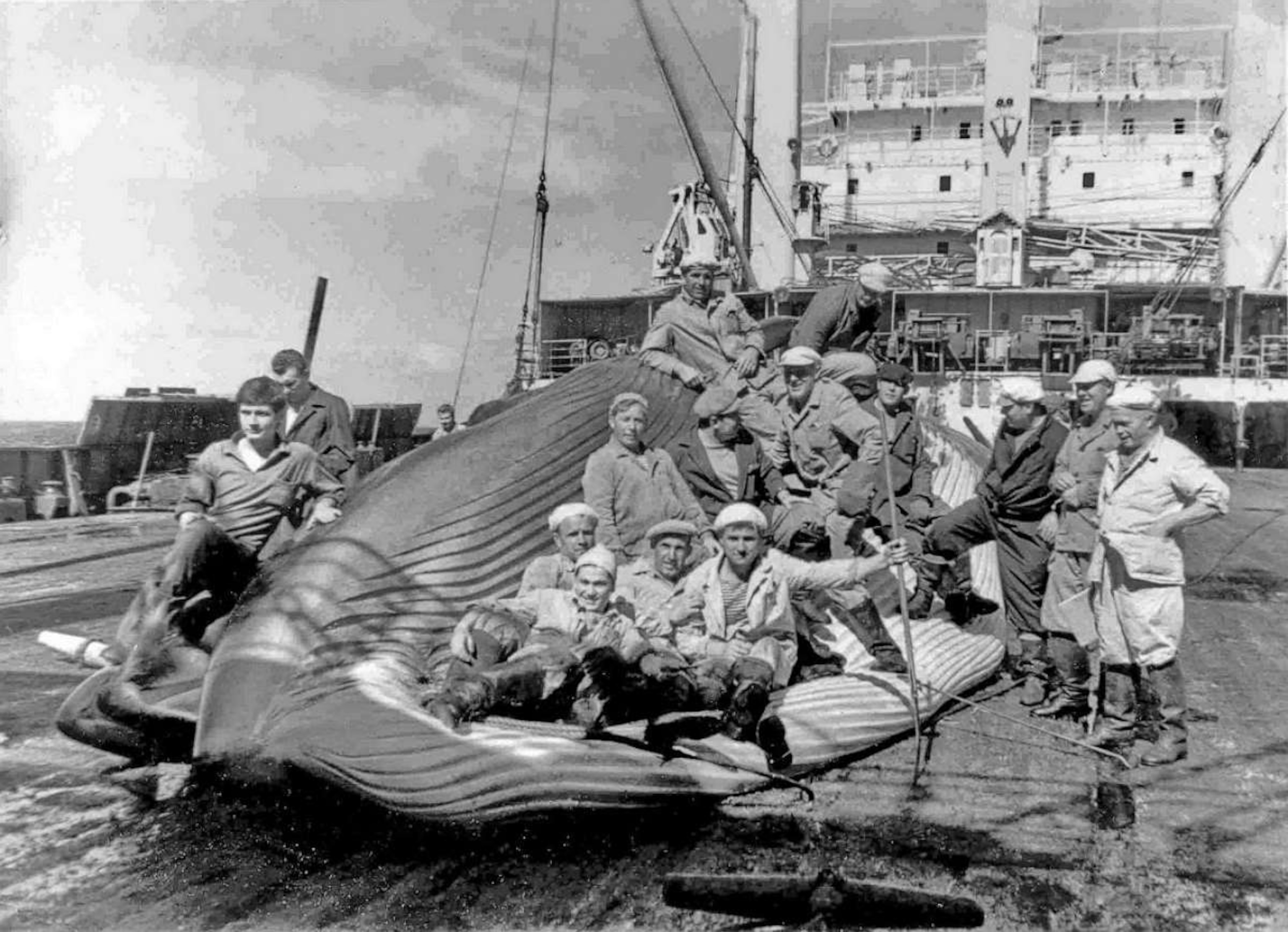 PHOTO: Soviet whalers aboard a whale on a factory ship.