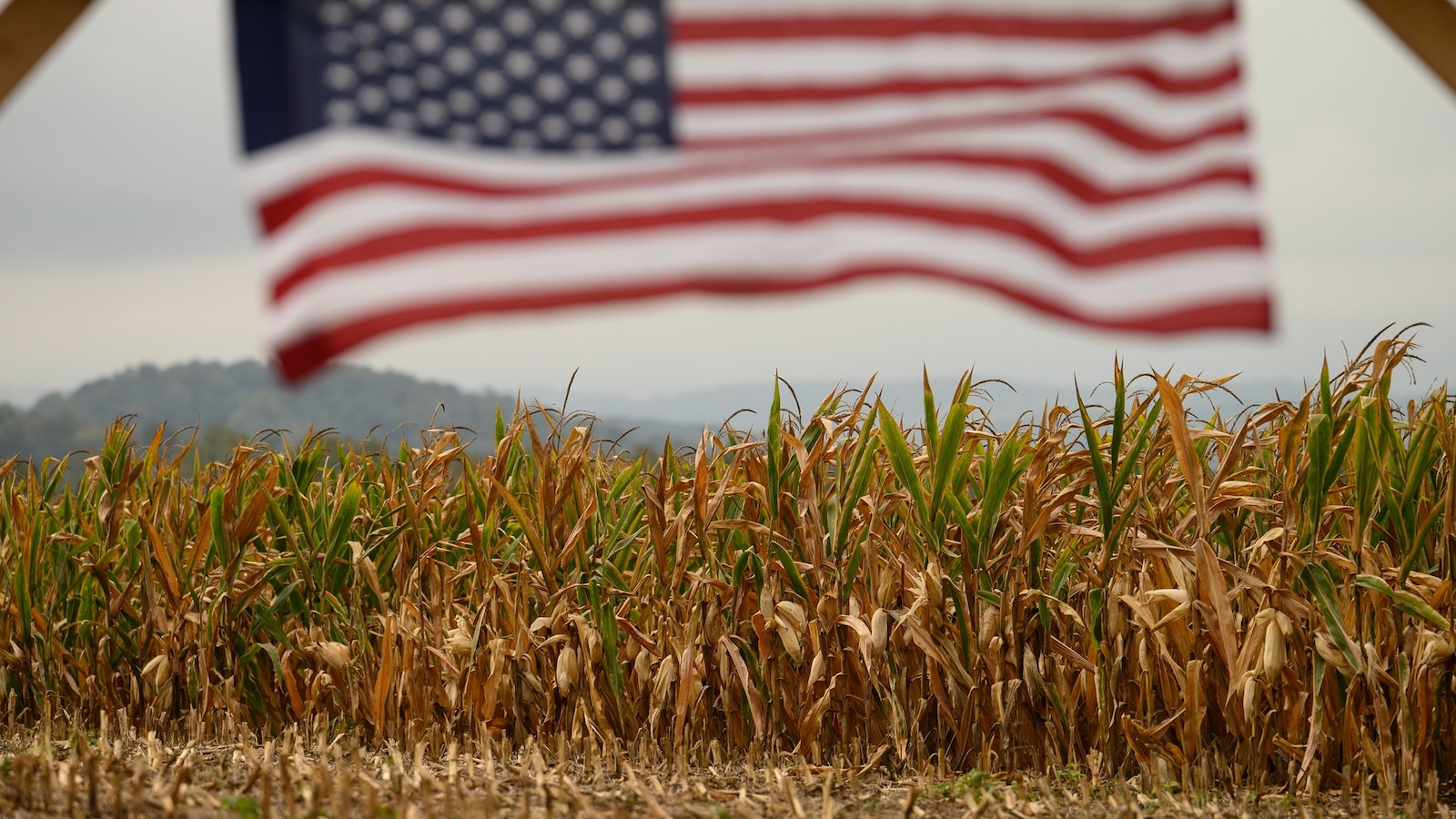 Almost half of the US is experiencing drought. How that can affect the ...