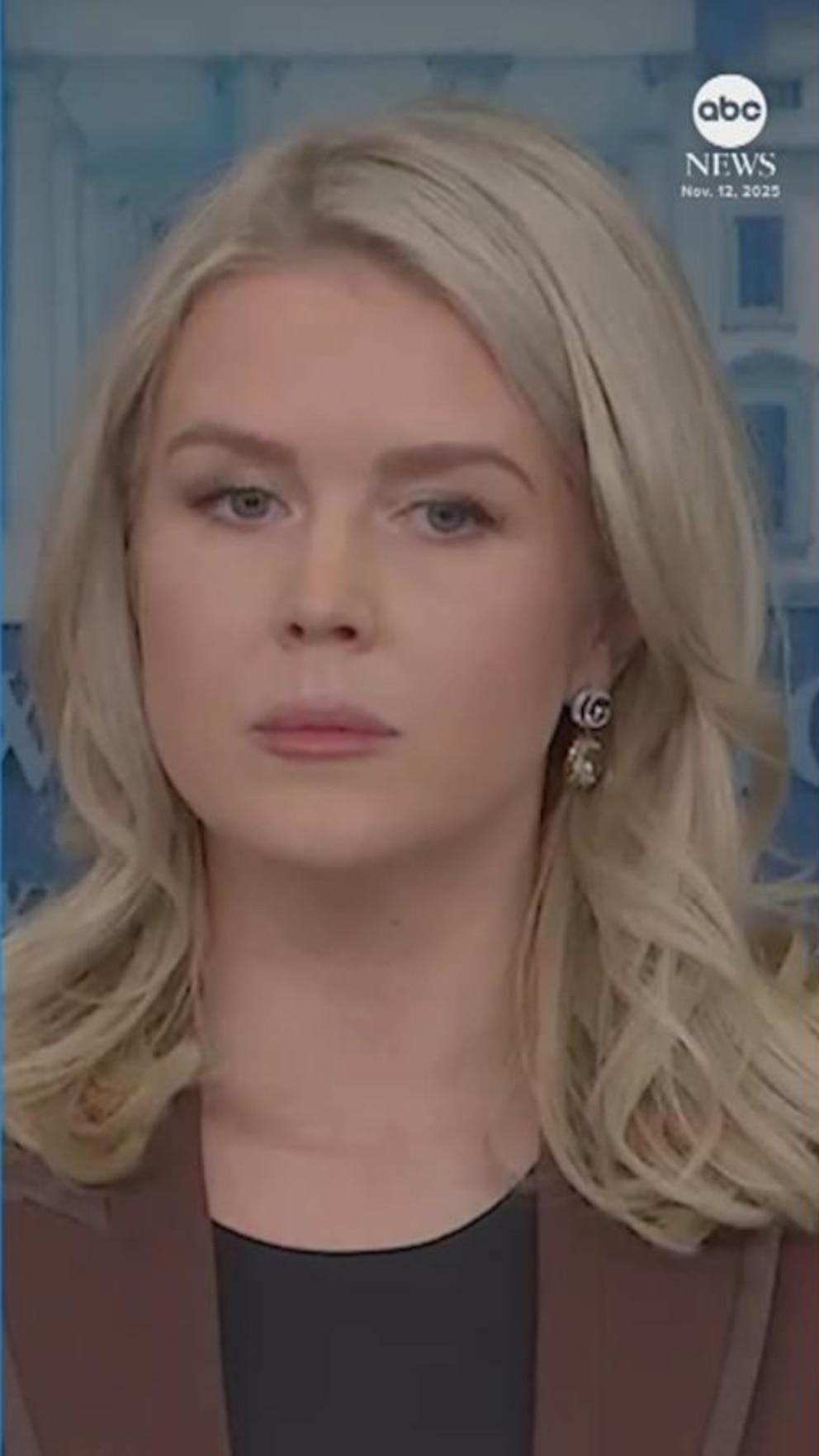 WATCH:  WH press sec. Leavitt: Epstein emails prove Trump 'did nothing wrong'