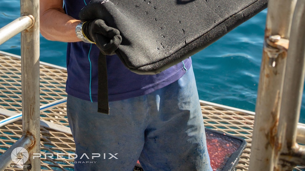Scientists find new bite-resistant wetsuits can reduce shark bite injuries  - ABC News