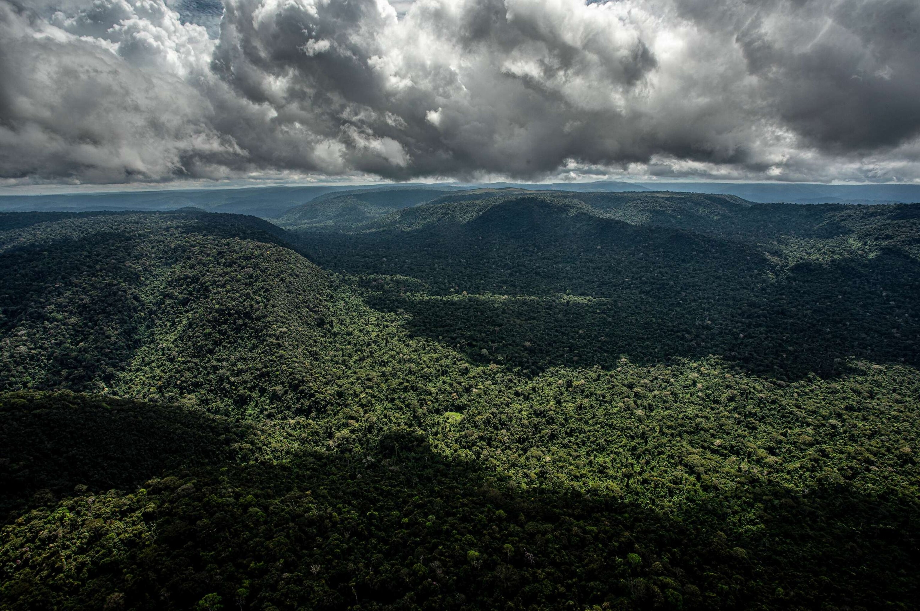 PHOTO: The National Forest in the Carajas mountain range, Para state, Brazil, May 17, 2023.