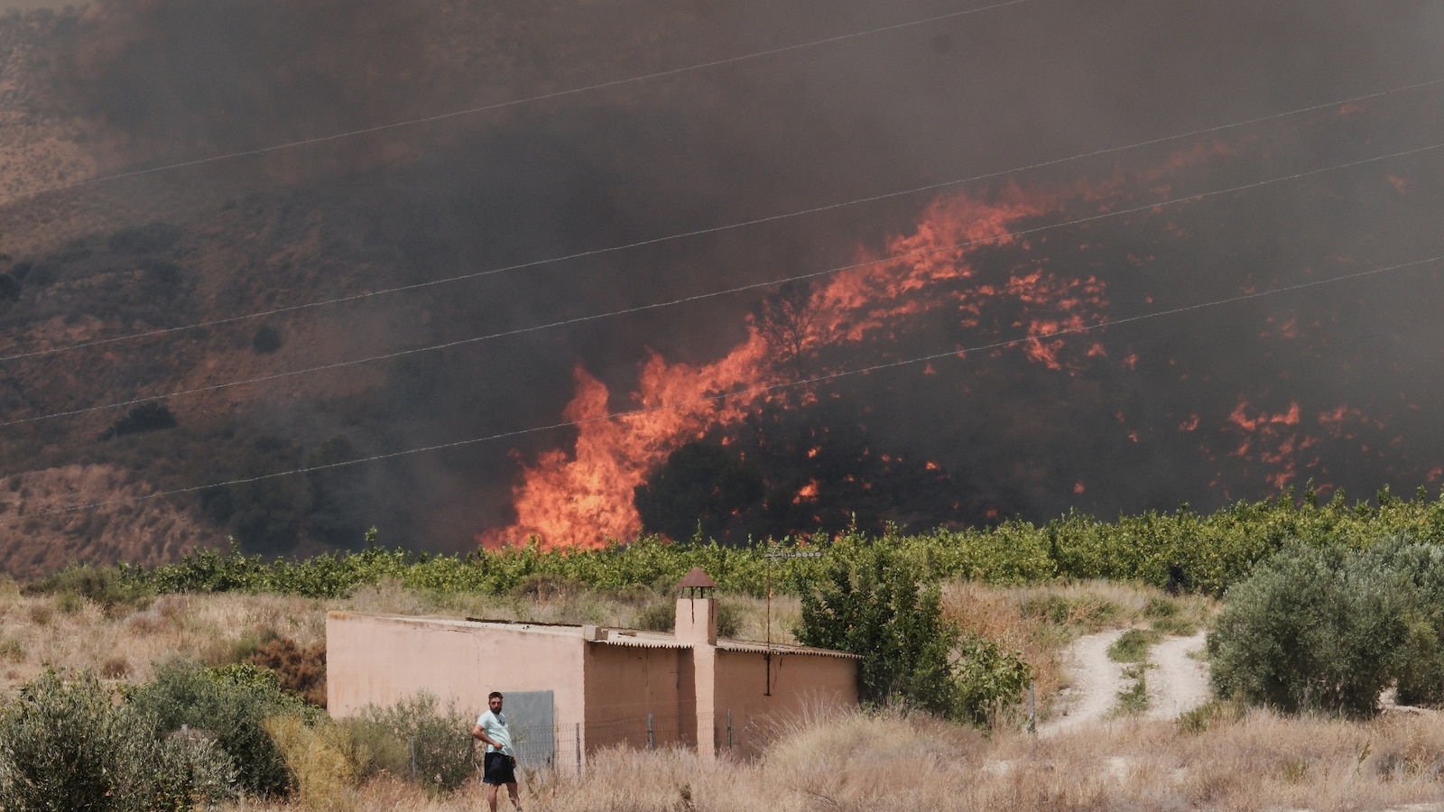 12 die in wildfire in Spain amid soaring temperatures