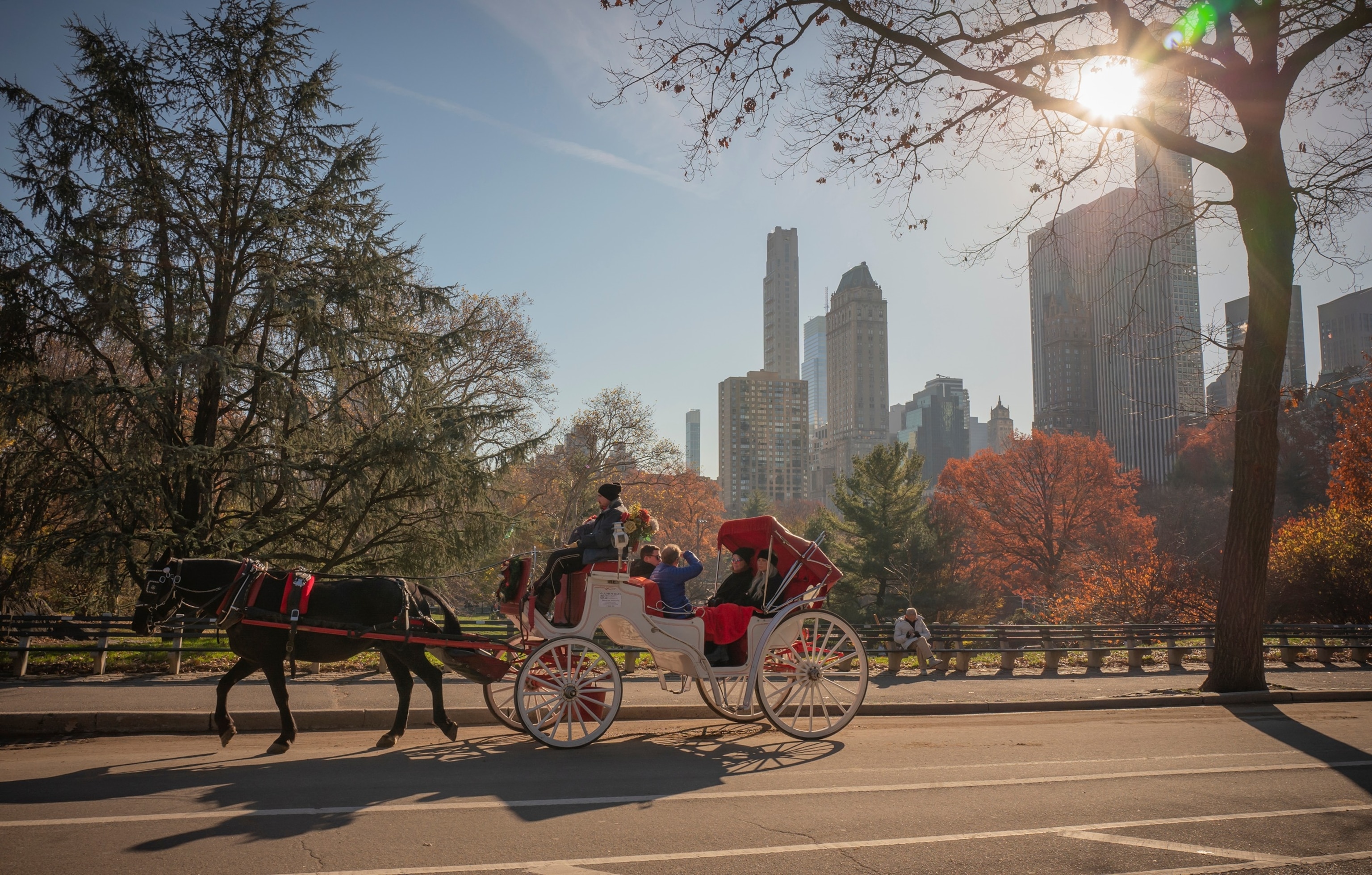 NYC to Ban Horse-Drawn Carriages in 2028 After City Council Deal