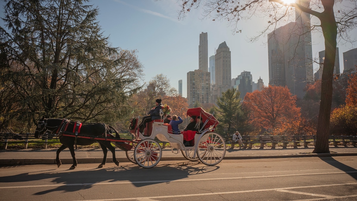 NYC to Ban Central Park Horse-Drawn Carriages by 2028 Under New Bill