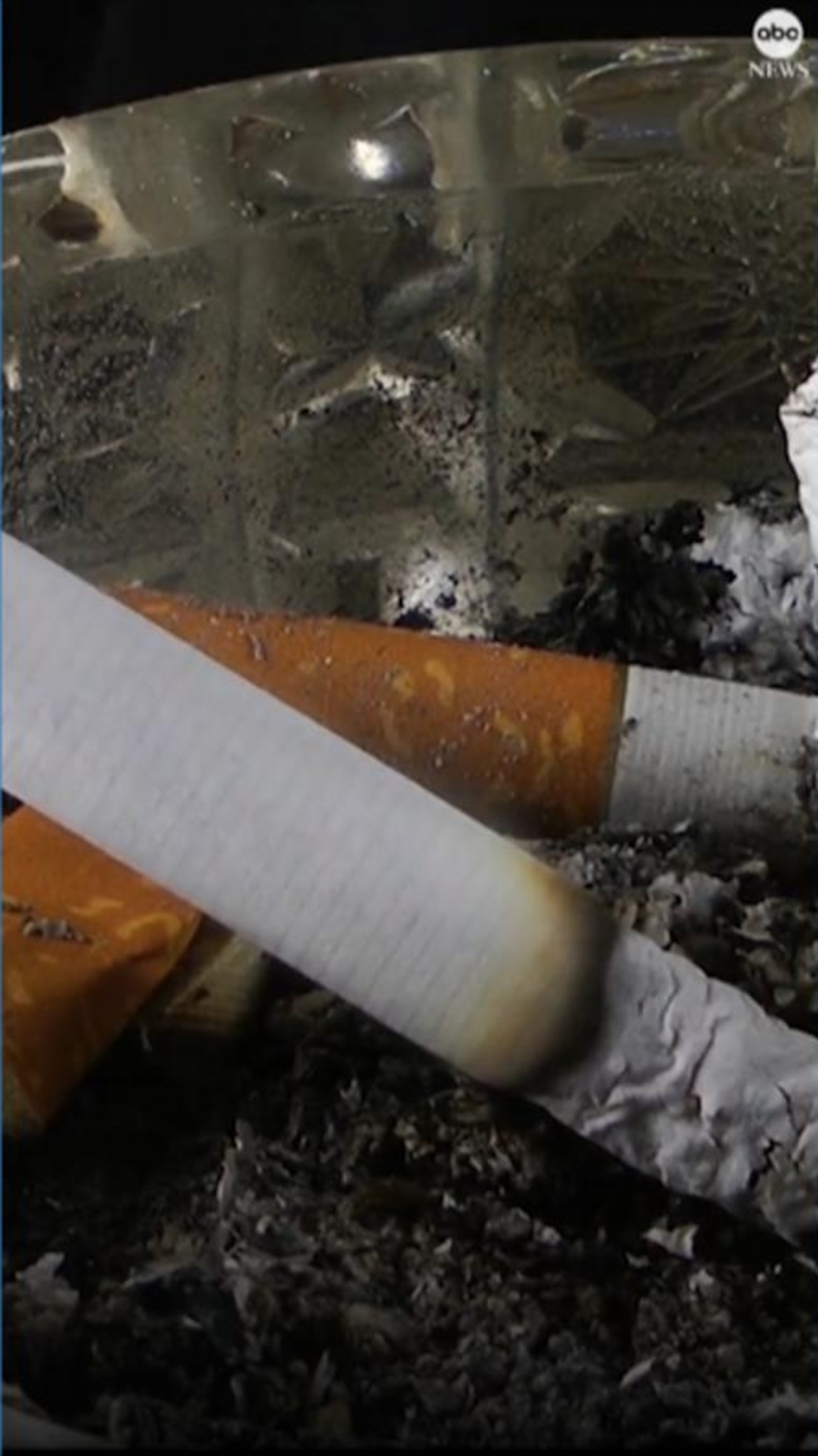 tobacco mouth swab How to Pass a Mouth Swab Test in 12 Hours: What Actually Works