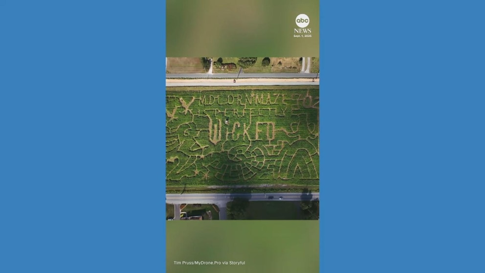 NextImg:Video Maryland corn maze pays tribute to ‘Wicked’