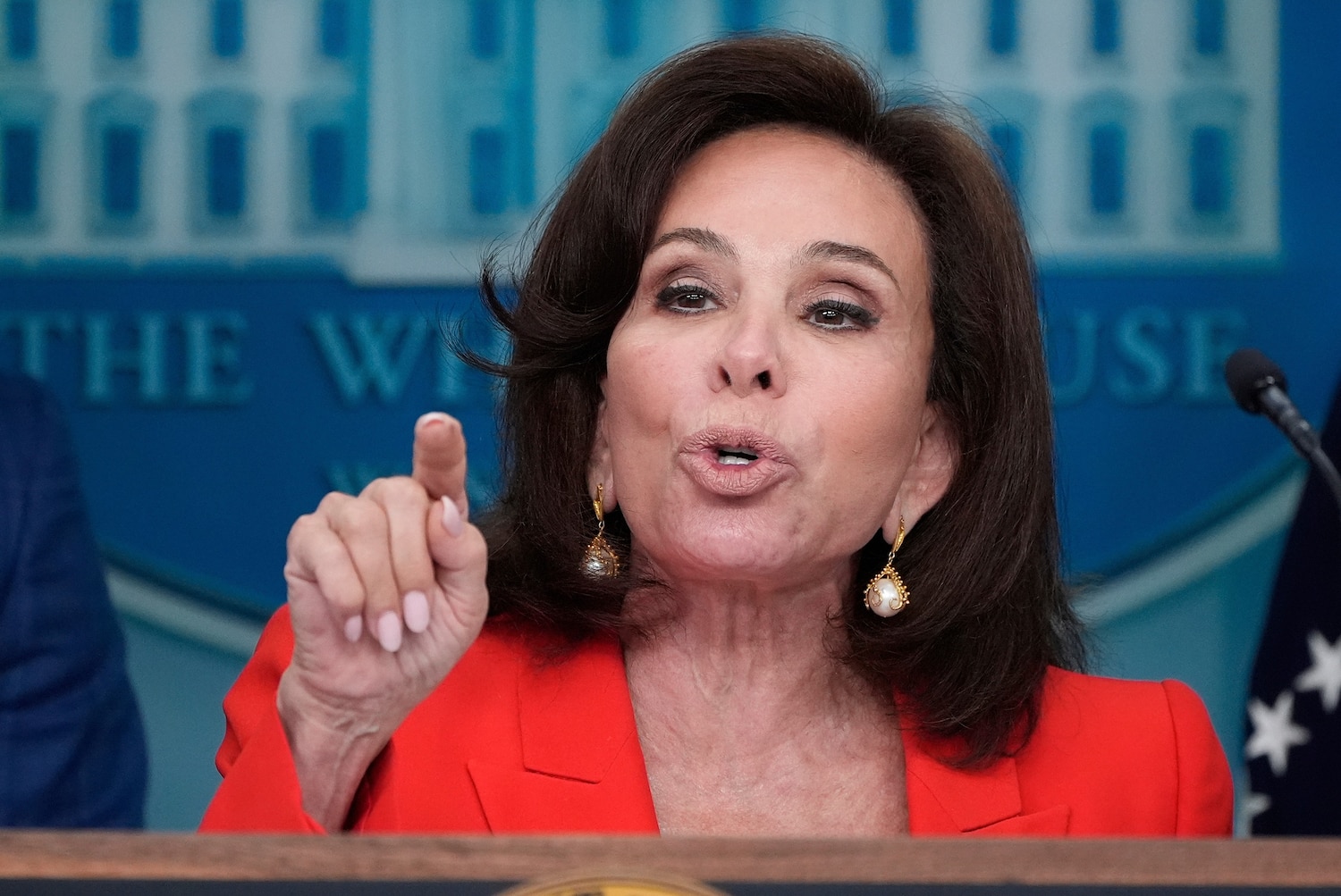US Attorney Pirro tells prosecutors no felony charges for carrying  registered rifles, shotguns in DC - ABC News