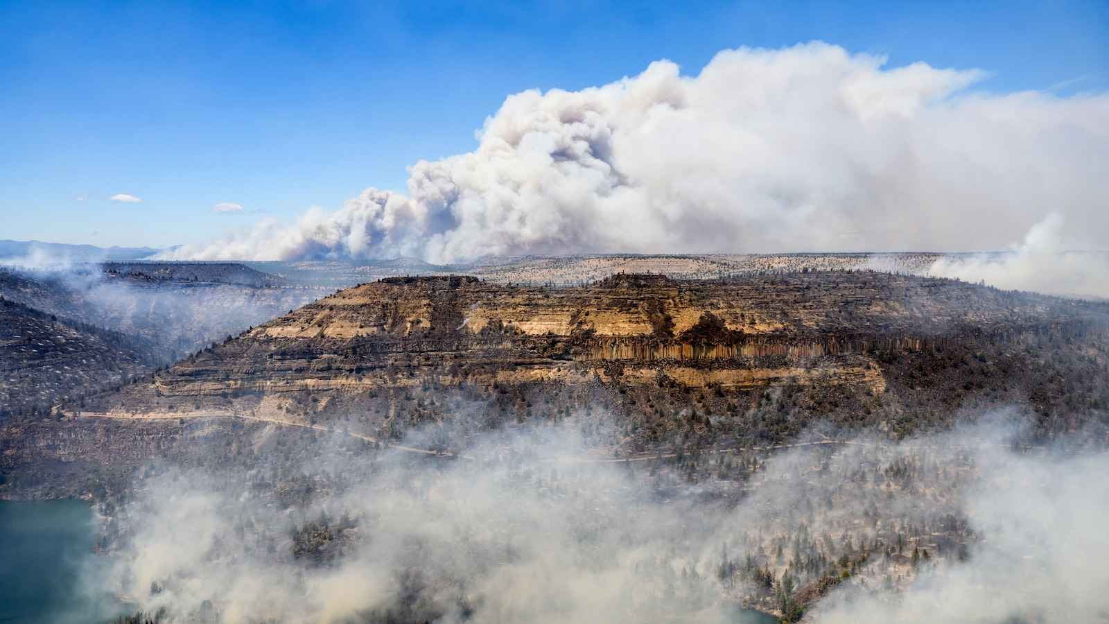 A Fourth Firefighter Dies From the Colorado Burnover That Trapped a Helitack Crew in June