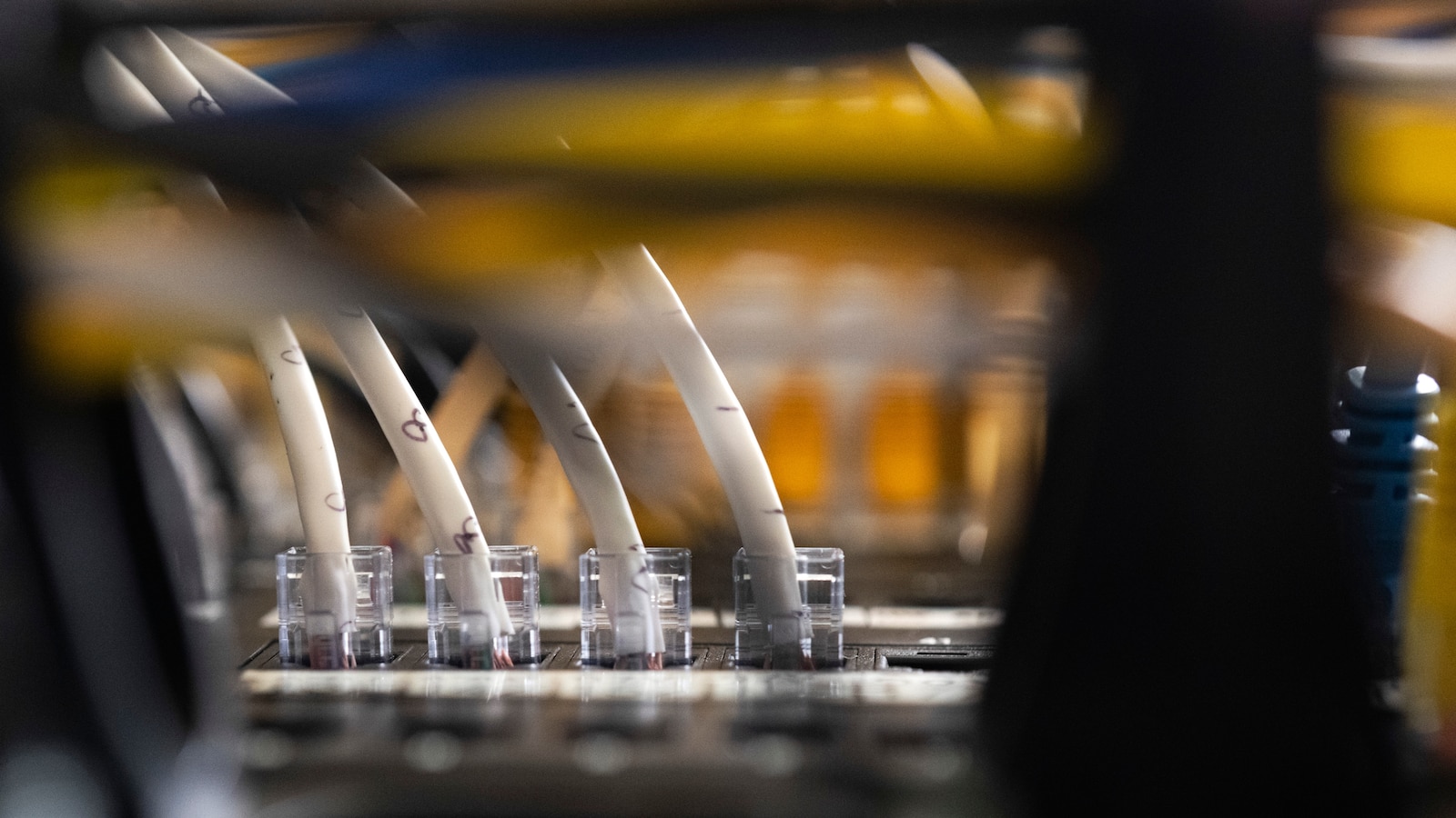 What to know about the AI-detected security hole impacting wide swaths ...