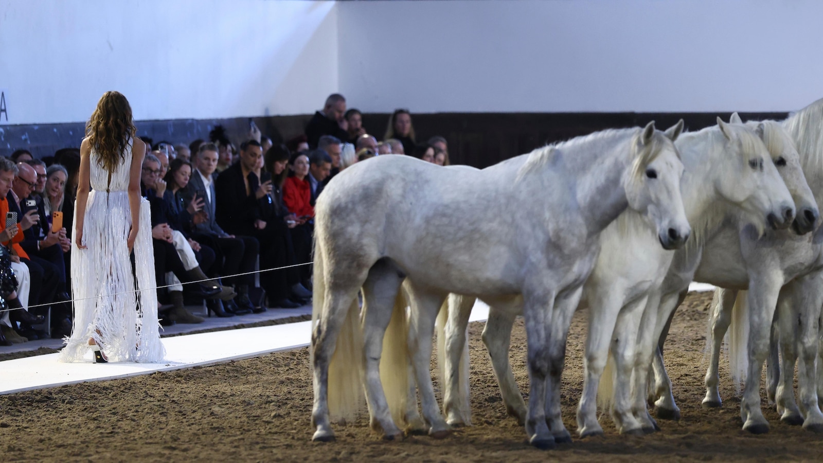 تسمح “ستيلا مكارتني” للخيول بسرقة الأضواء، وتقوم بدورها في باريس دون أن تنطق بكلمة واحدة