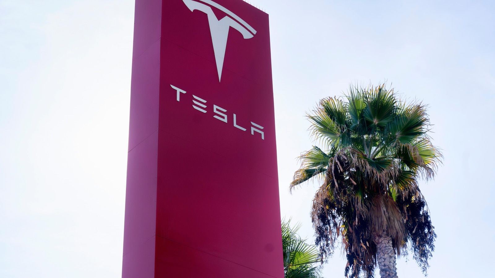 Tesla ruft mehr als 3.000 seiner Cybertrucks 2024 wegen defektem Pedal ...