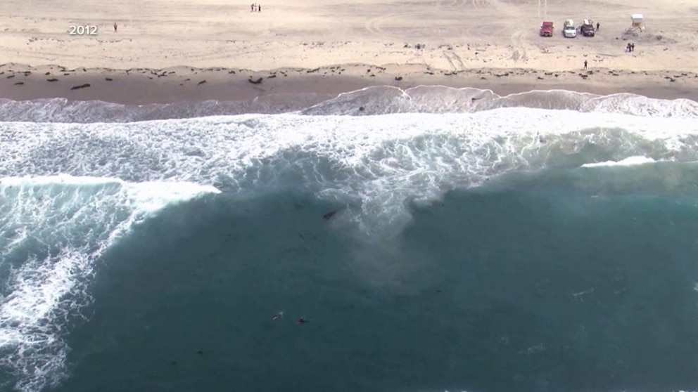 Video How to stay safe, escape rip currents amid Labor Day weekend ...