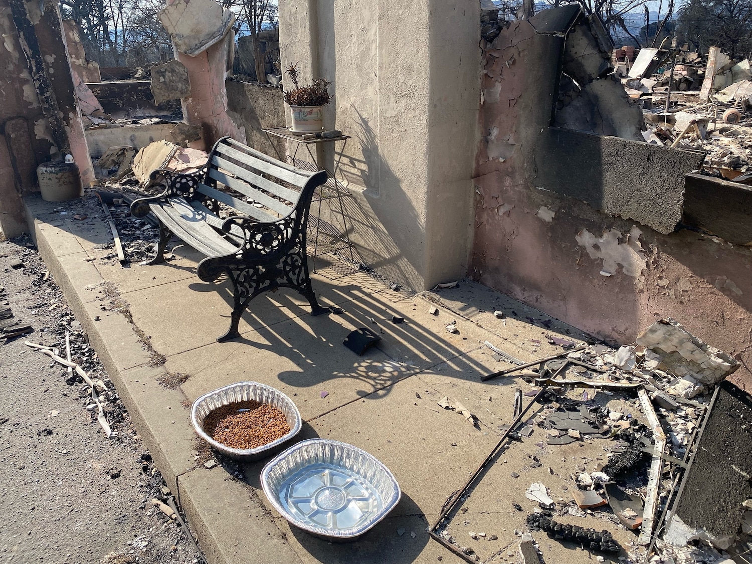 glamzoo1_1737687997861_hpMain_