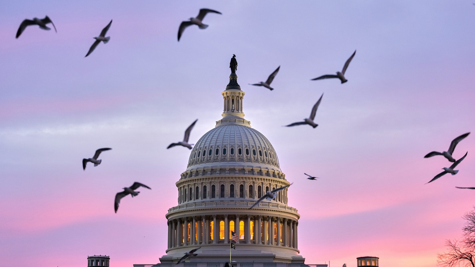 Senate once again fails to advance DHS funding bill