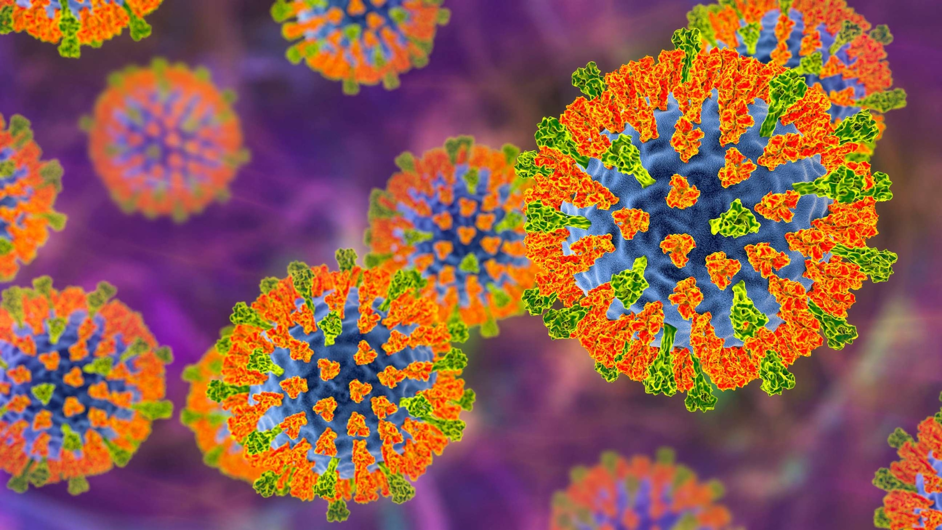 PHOTO: Measles virus particle, illustration.