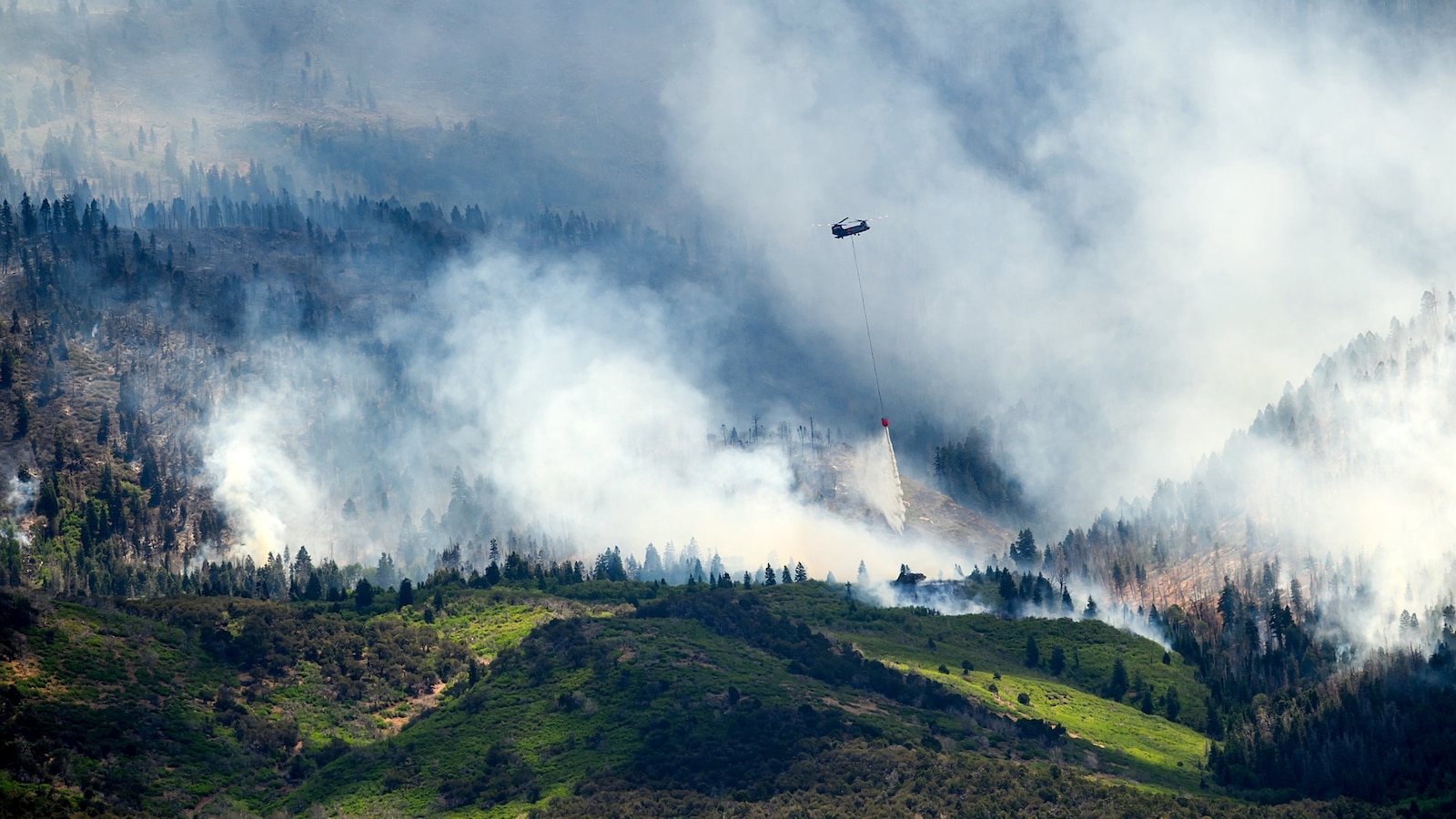 Biggest US wildfire leaves ranchers with dead and missing cattle: ...