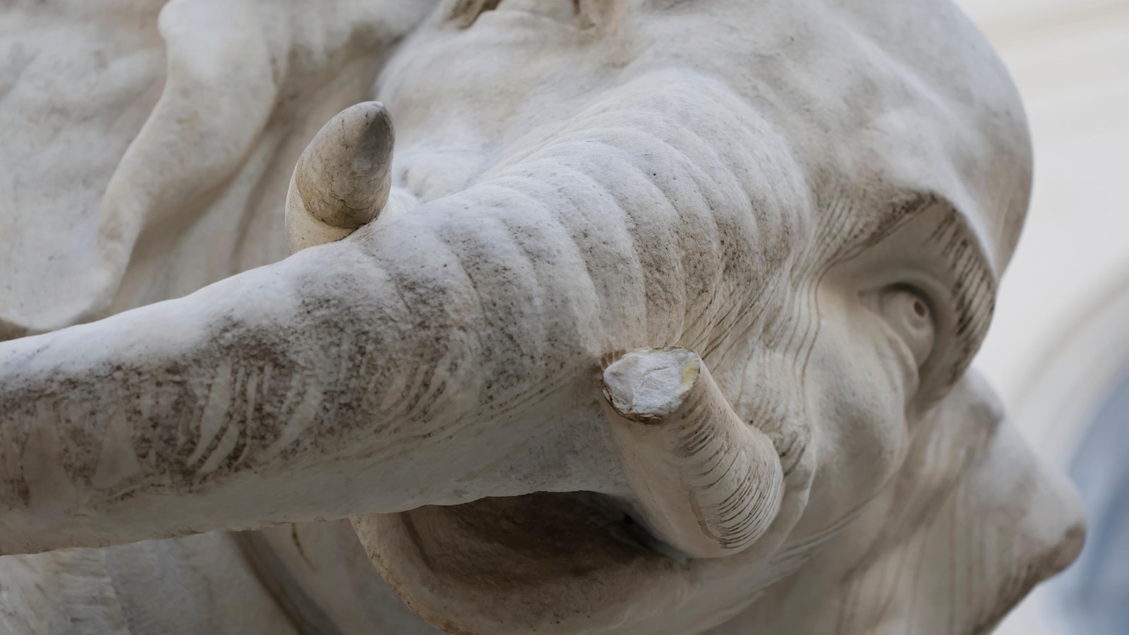 Полицията по случая: Как любимата на Рим скулптура на слон Бернини загуби върха на бивника си — отново