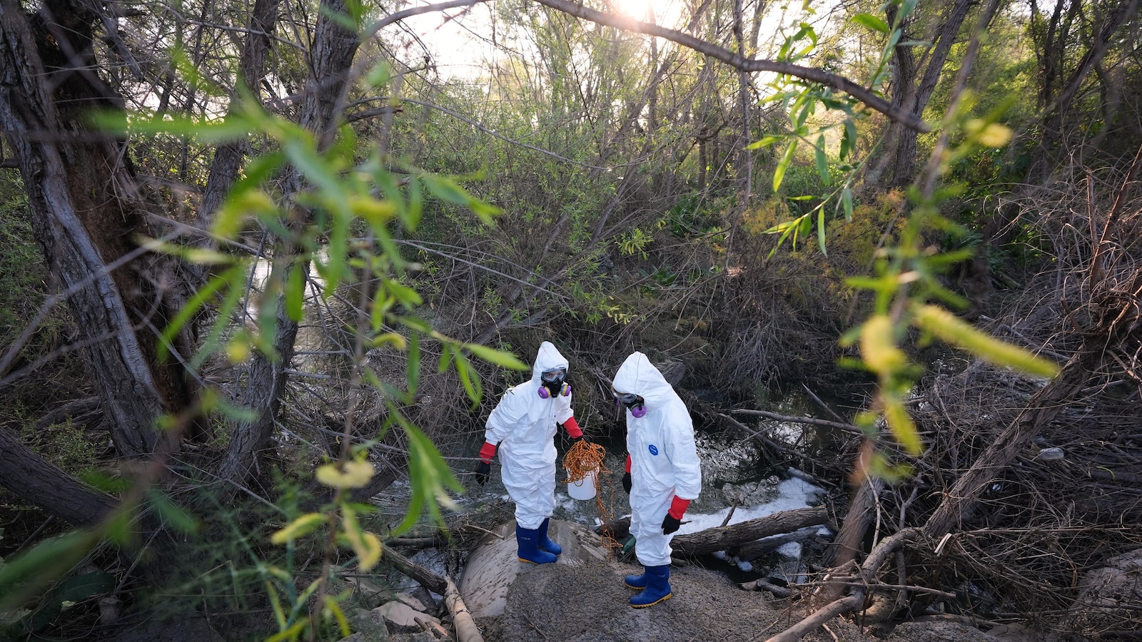 Tijuana River Sewage Contamination Exposes Thousands to Health Risks During Ongoing Cleanup