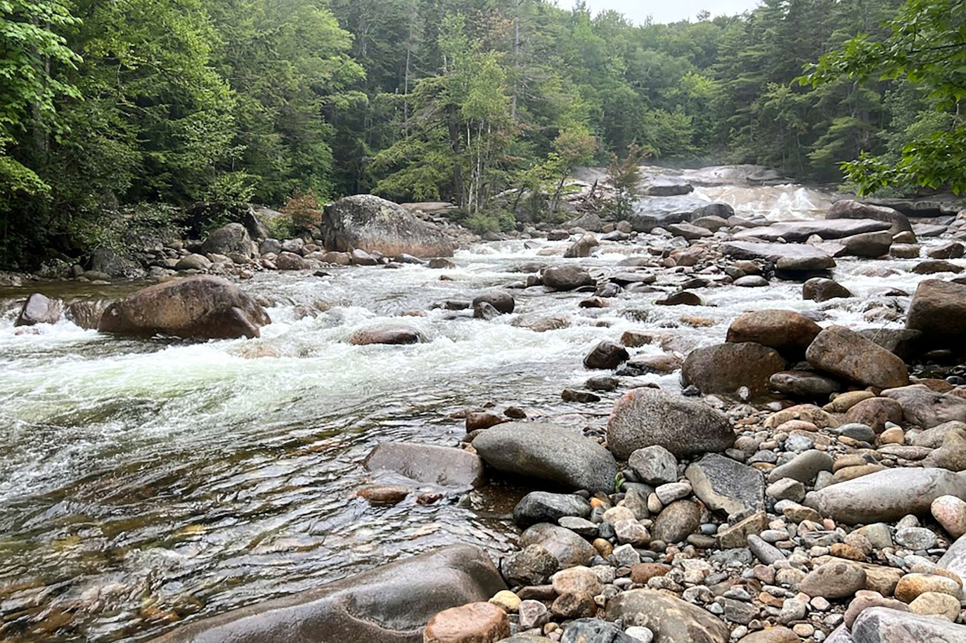 PHOTO: This photo provided by the New Hampshire Fish and Game Department shows Franconia Brook as is flows several hundred yards below Franconia Falls, in the White Mountain National Forest, Aug. 15, 2023, in Lincoln, N.H.