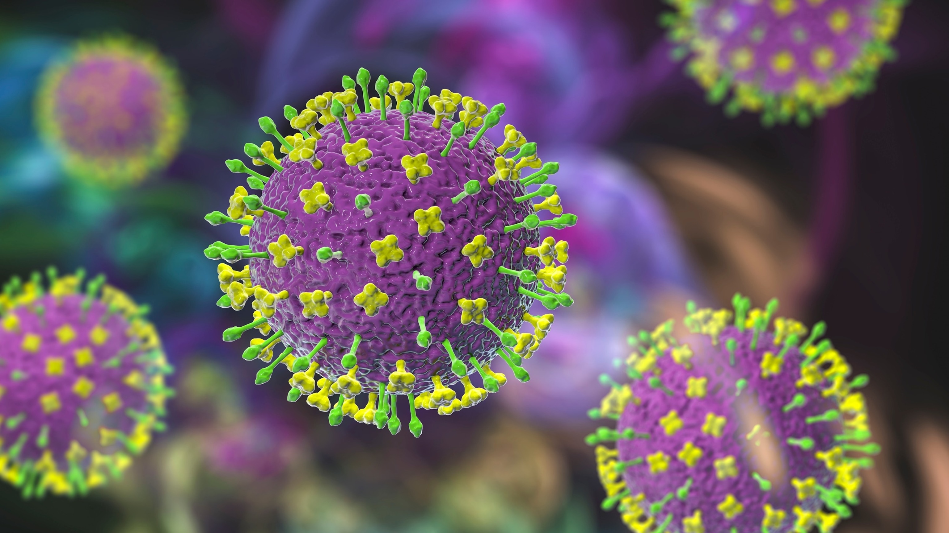 PHOTO: Nipah virus particles, illustration