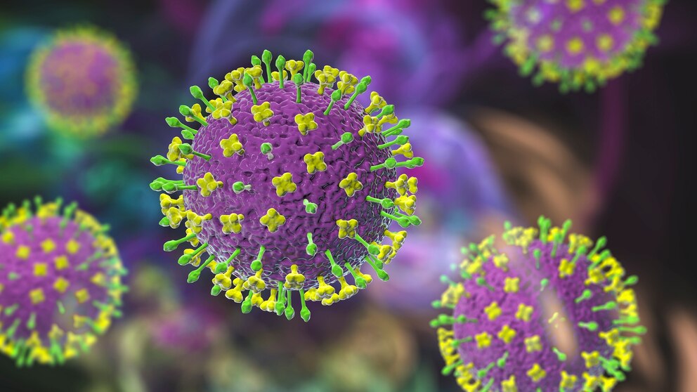 PHOTO: Nipah virus particles, illustration