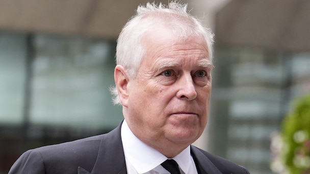 'I can't take any more of this': Prince Andrew allegedly pleaded with Epstein  to deny allegations - ABC News