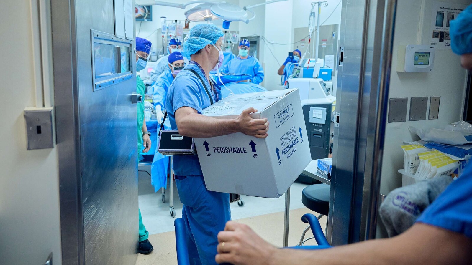 Geneedited pig kidney transplanted into braindead patient 1 month ago