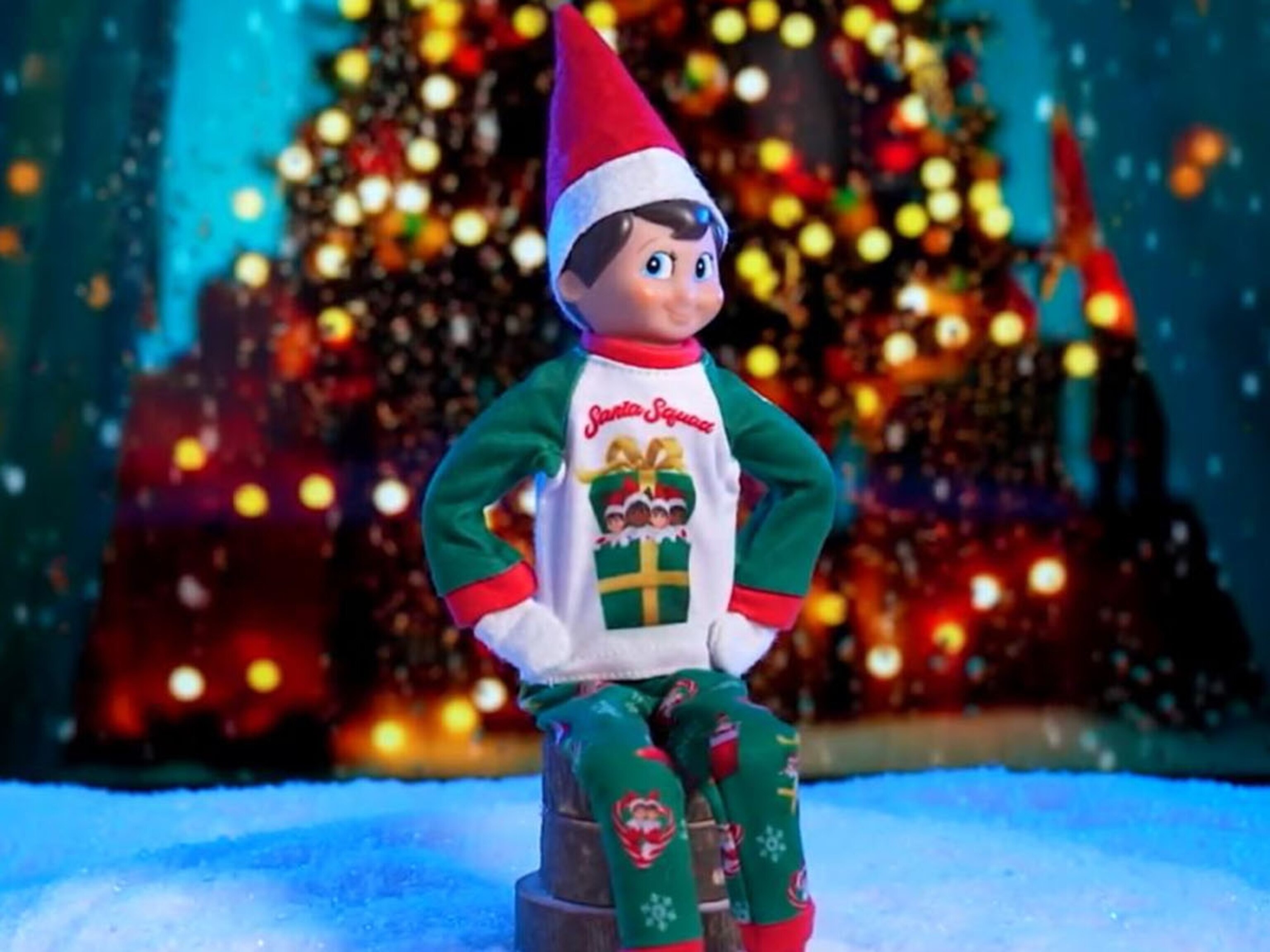 251222_ntl_elf_shelf_0123_hpMa