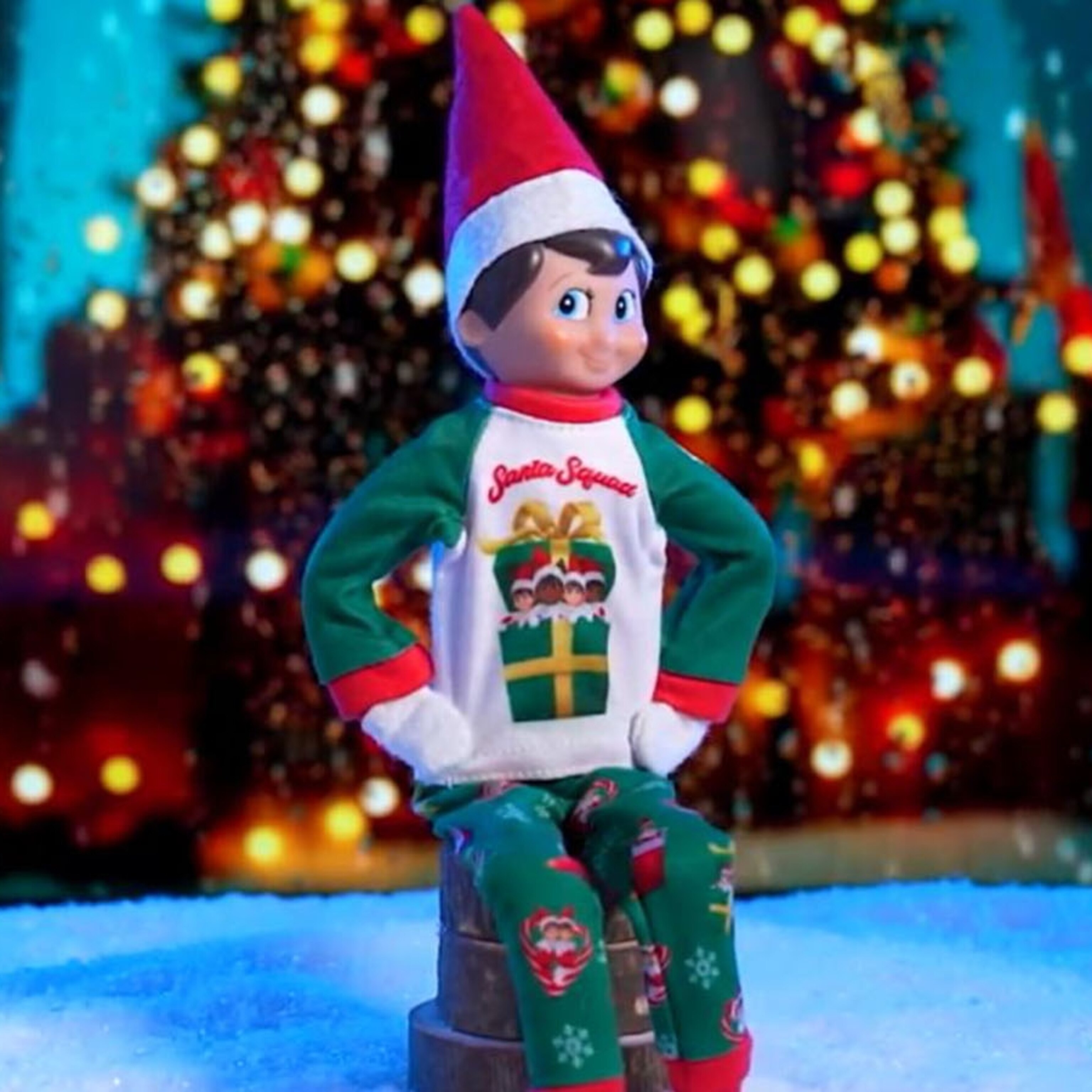 251222_ntl_elf_shelf_0123_hpMa