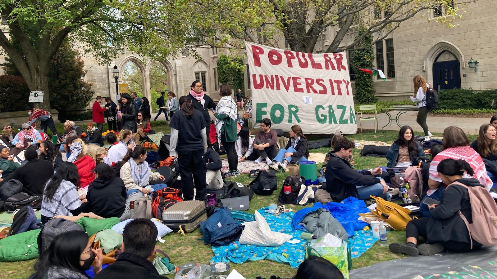 Organizing massive campus protests required logistical savvy Heres how students pulled it off ABC News Organizing massive campus protests required logistical savvy Heres how students pulled it off ABC News