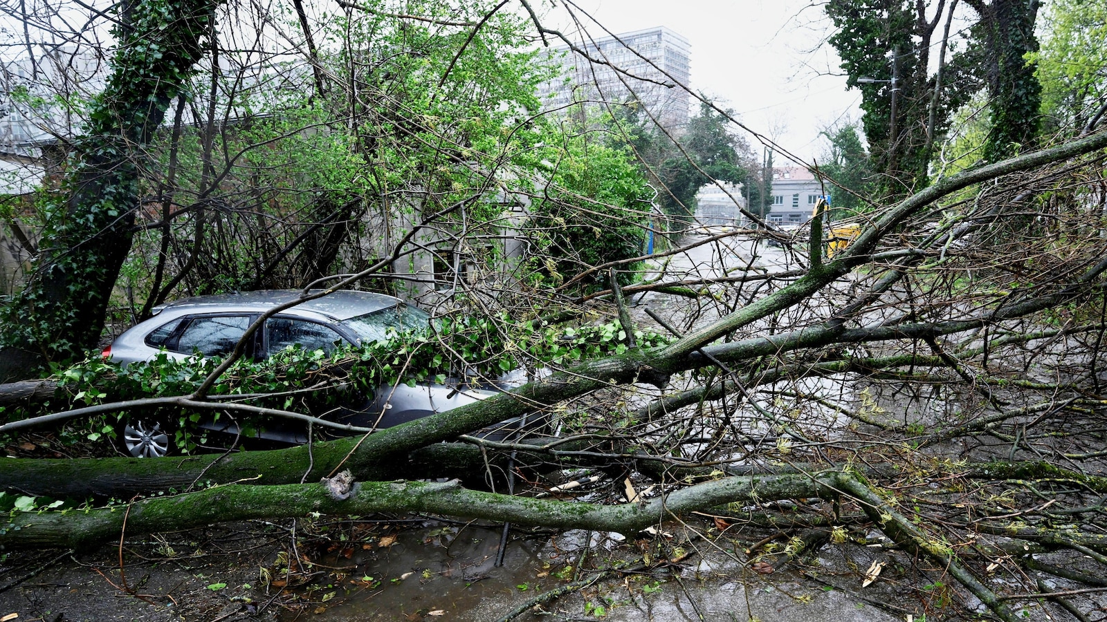 Sneeuw- en stormwinden sluiten scholen en wegen af en schakelen de stroom uit in sommige Balkanlanden