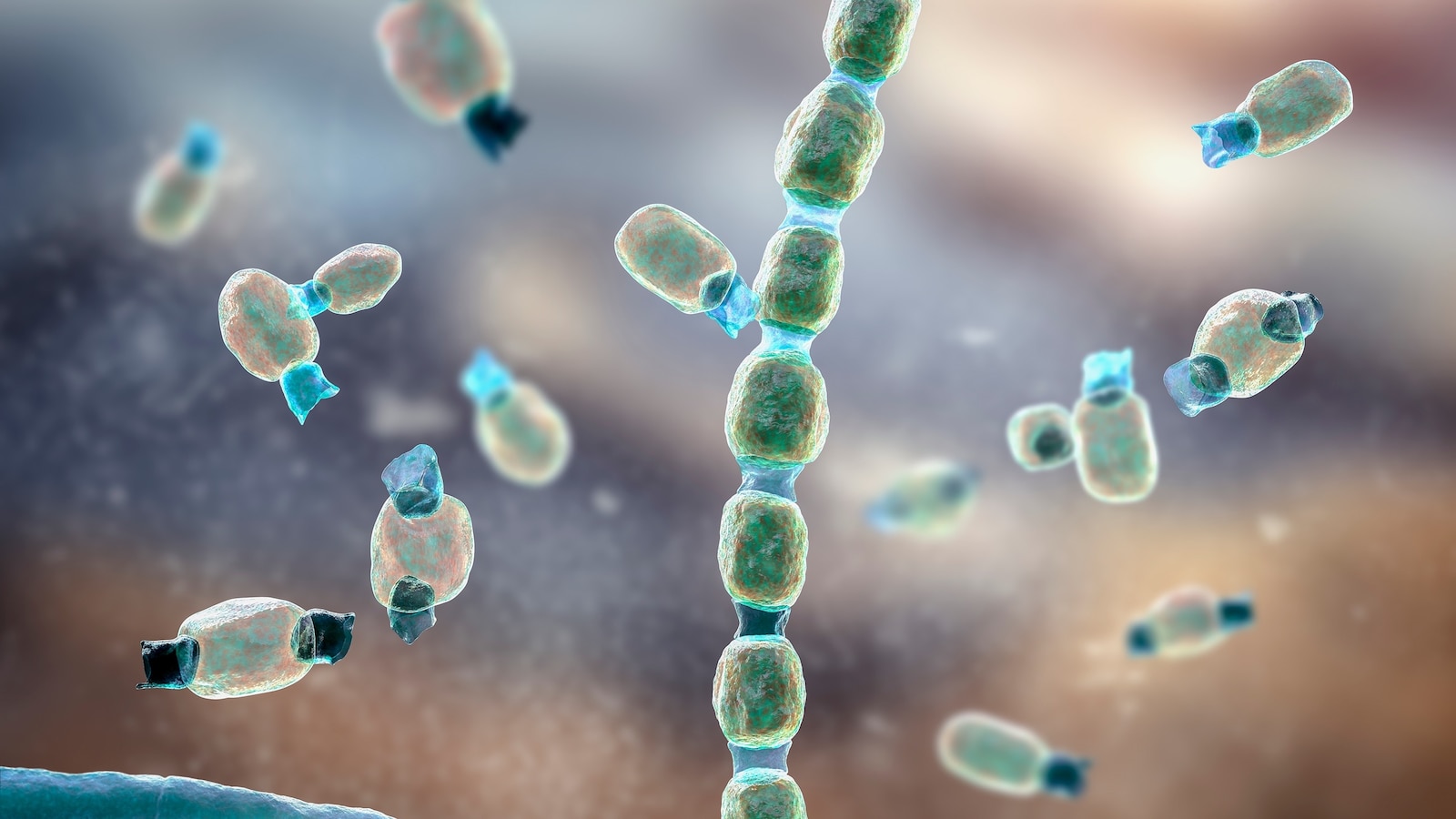What you need to know about Valley fever after 19 infected at California ...