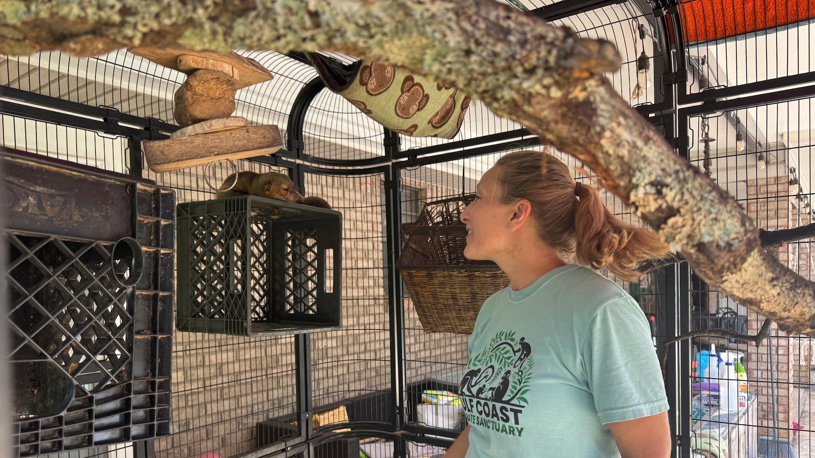 A Mississippi monkey sanctuary helps veterans with PTSD find peace A Mississippi monkey sanctuary helps veterans with PTSD find peace