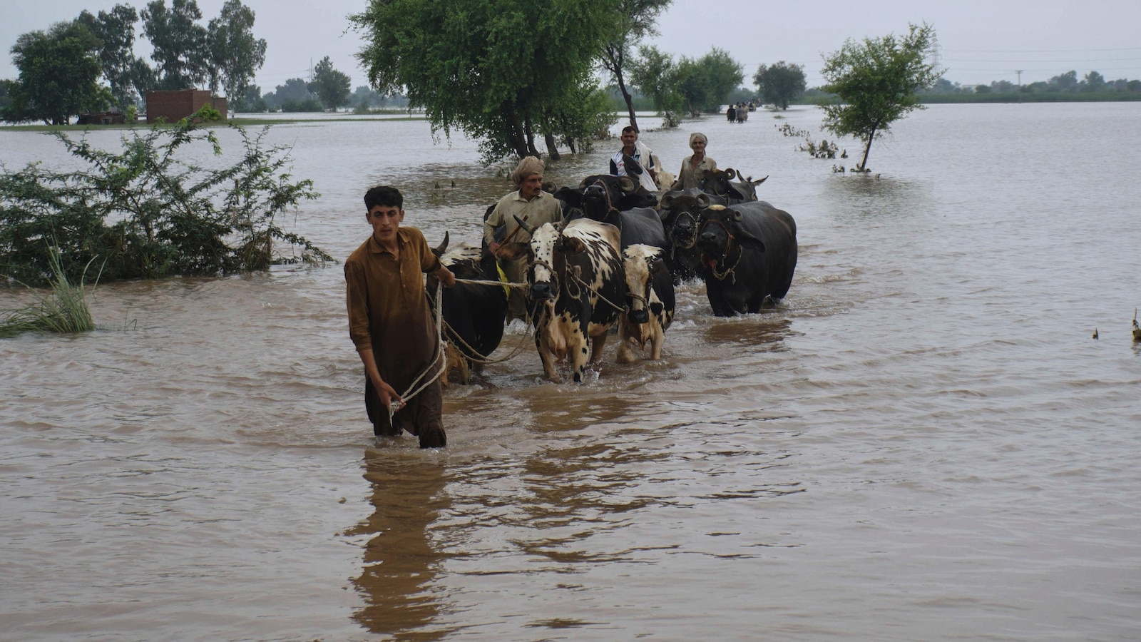 Pakistan`s Punjab faces the biggest floods in its history, affecting 2 million people