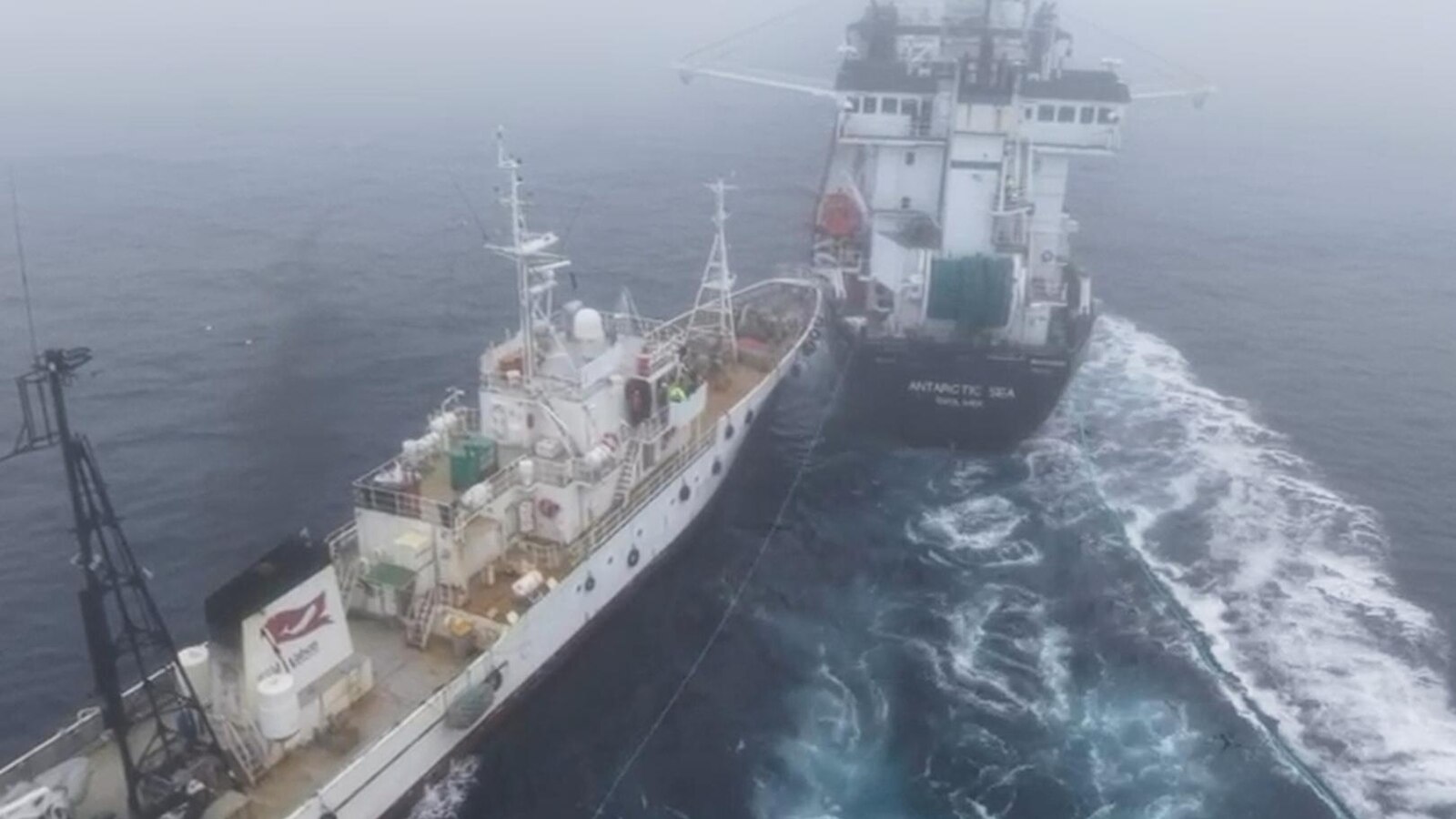  Activist's group accused of 'terrorist attack' in collision with Antarctic krill trawler