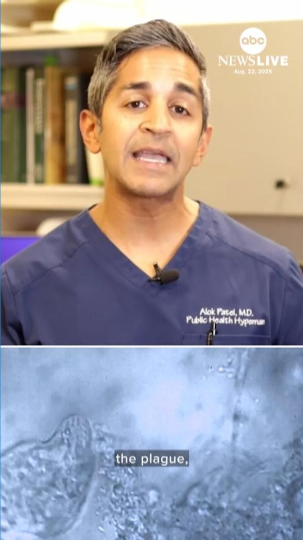 NextImg:Video What to know about the plague