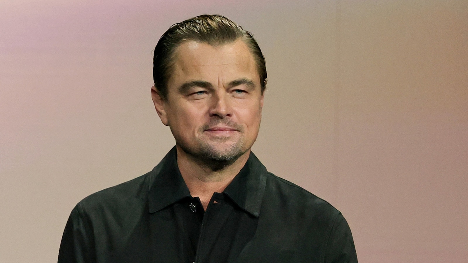 Leonardo DiCaprio attended his 1st Met Gala and we all missed it - ABC News