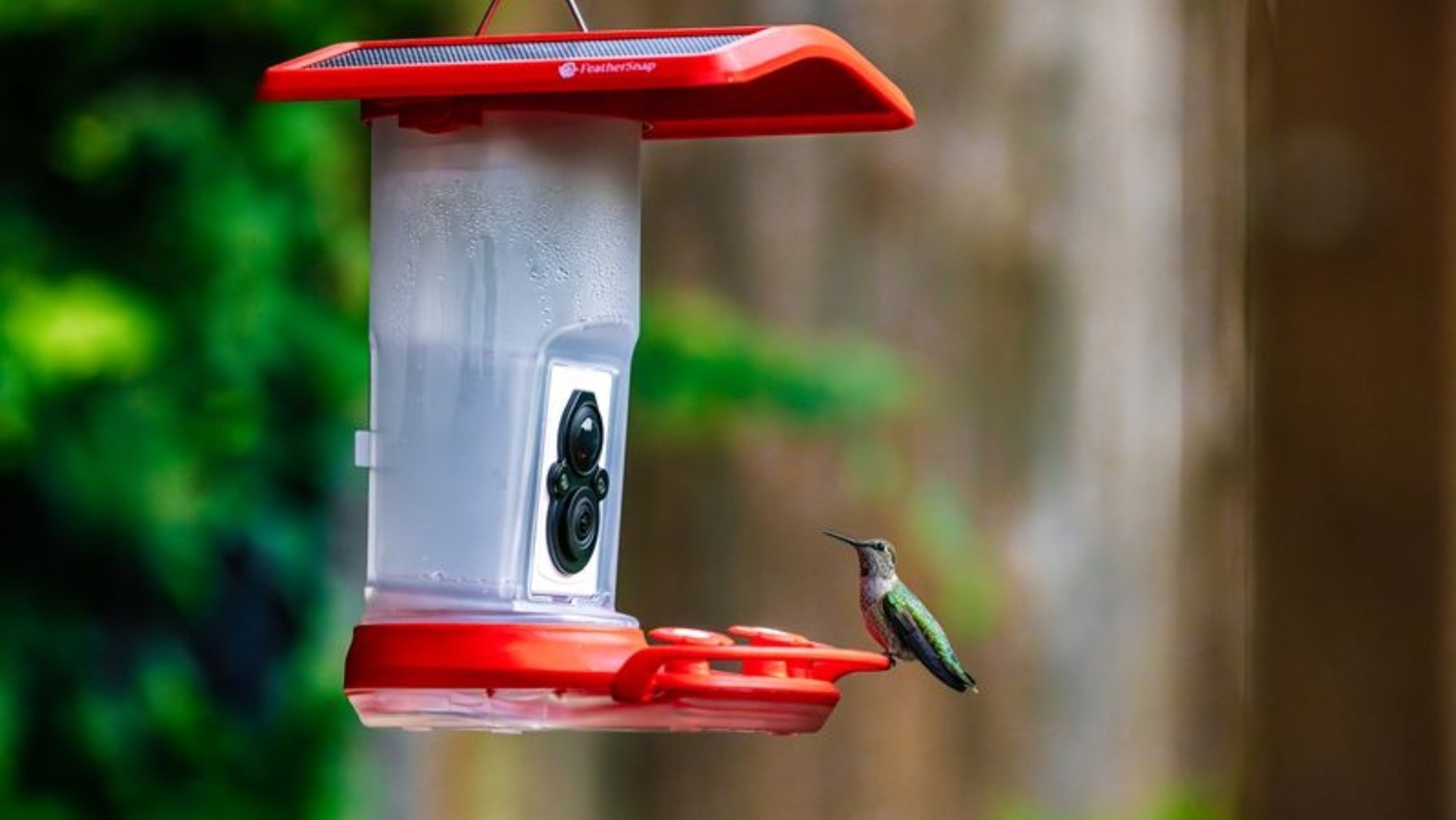 FeatherSnap: Bird Feeders