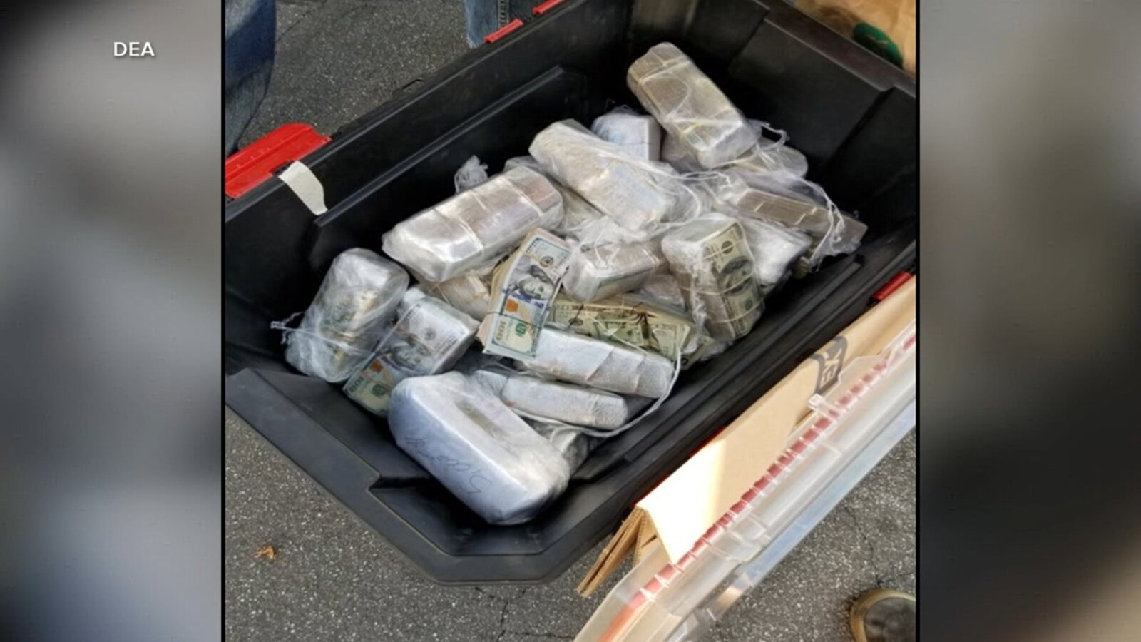 24 charged in alleged drug-cartel money laundering scheme
