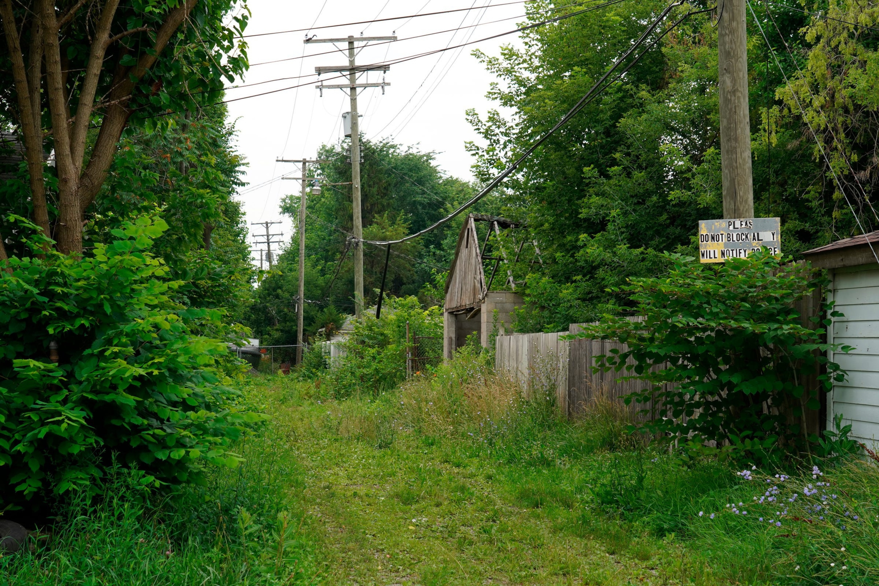 PHOTO: An overgrown alley on Erwin Street where the body of Wynter Cole Smith, 2, was found on Wednesday, July 5, 2023, is seen on Thursday, July 6, 2023, in Detroit, Mich.