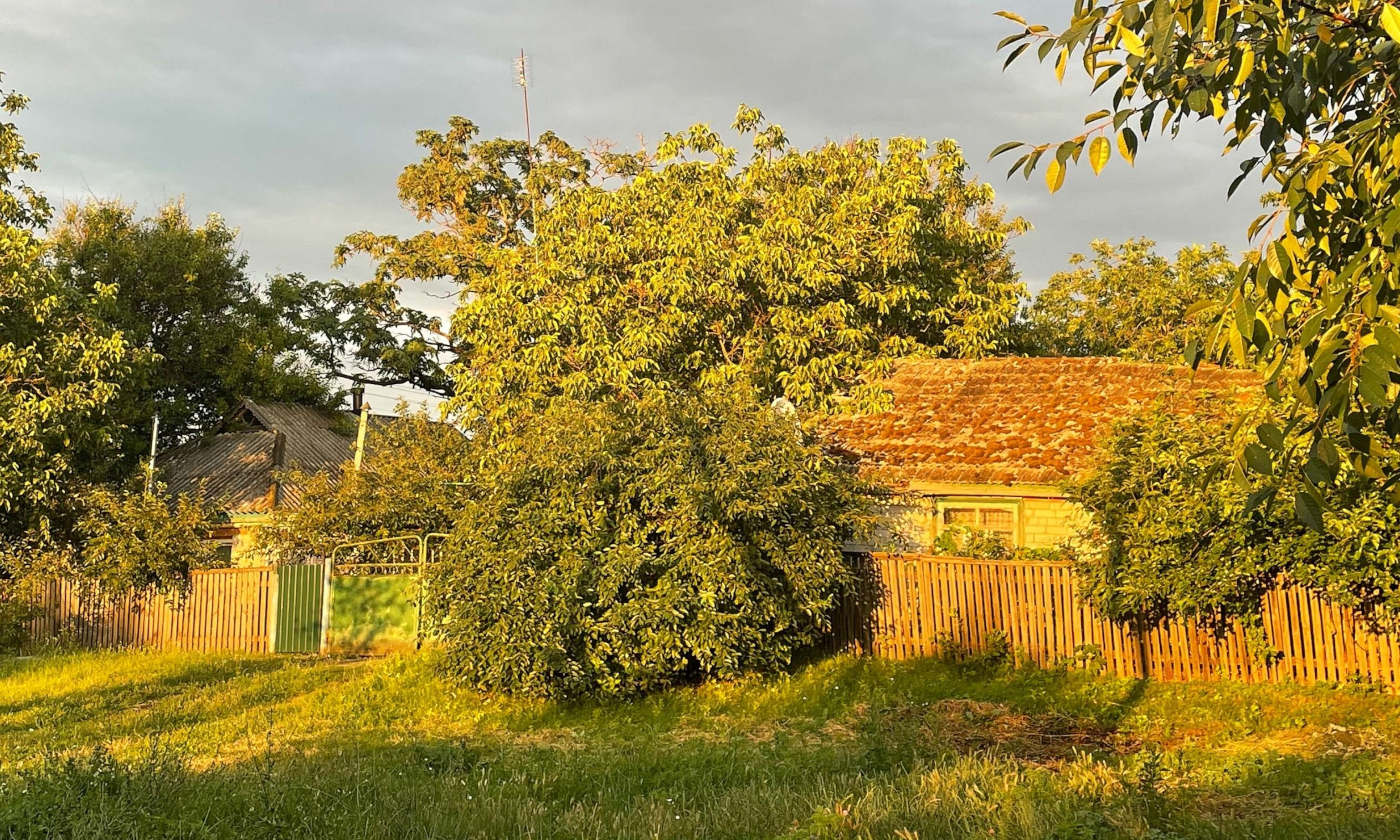 PHOTO: Soviet-style houses that usually belong to grandparents in Kobaliaky, July 15, 2023.